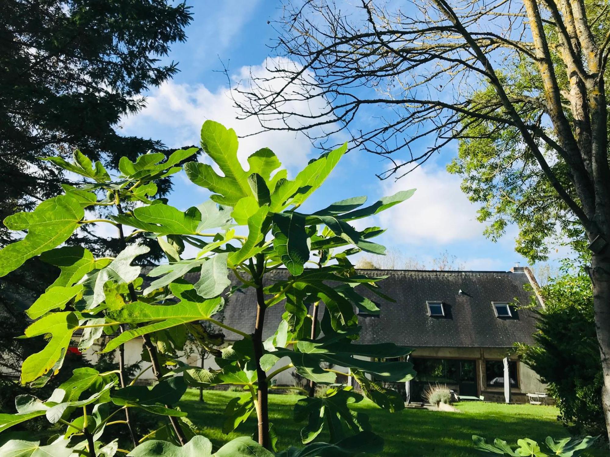 Rouge Cottage Gite 4 Etoiles Billard Gueutteville-les-Gres Exterior photo